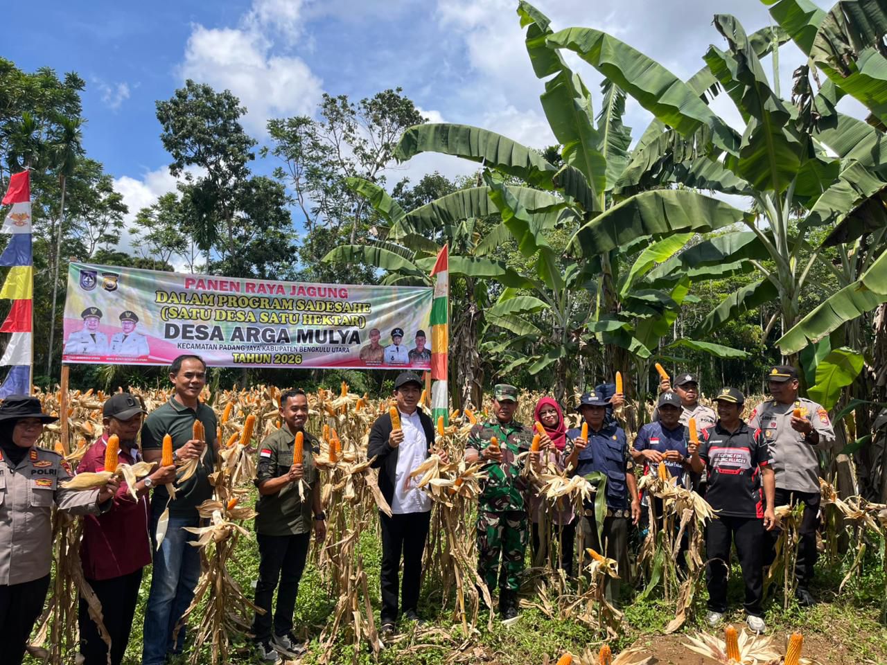 Panen Raya Jagung Program Sadesahe Dukung Swasembada Pangan di Padang Jaya