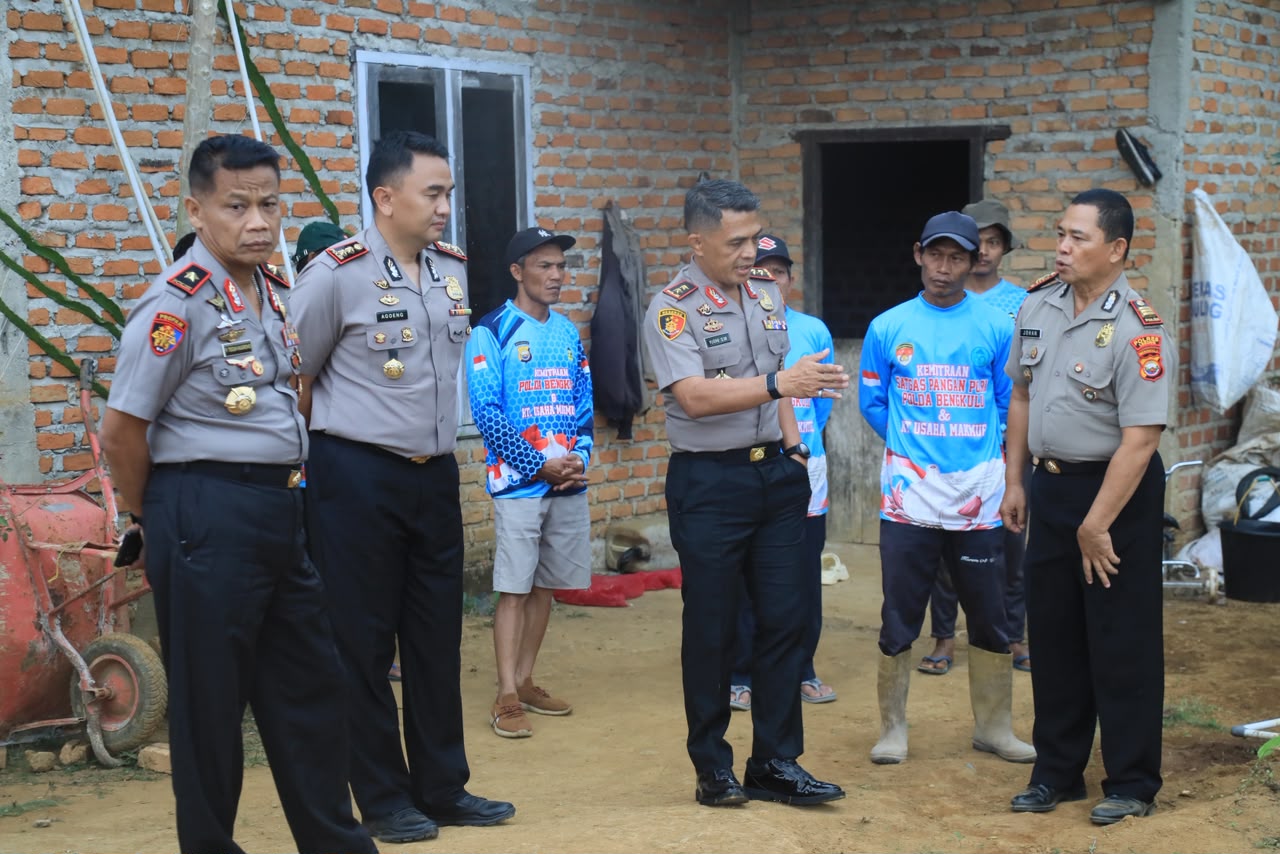 Dukung Swasembada Bawang Putih, Kapolda Bengkulu Cek Demplot Varietas Sangga Sembalun di Lebong